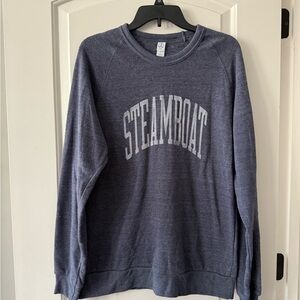 Alternative Apparel Blue Sweatshirt
